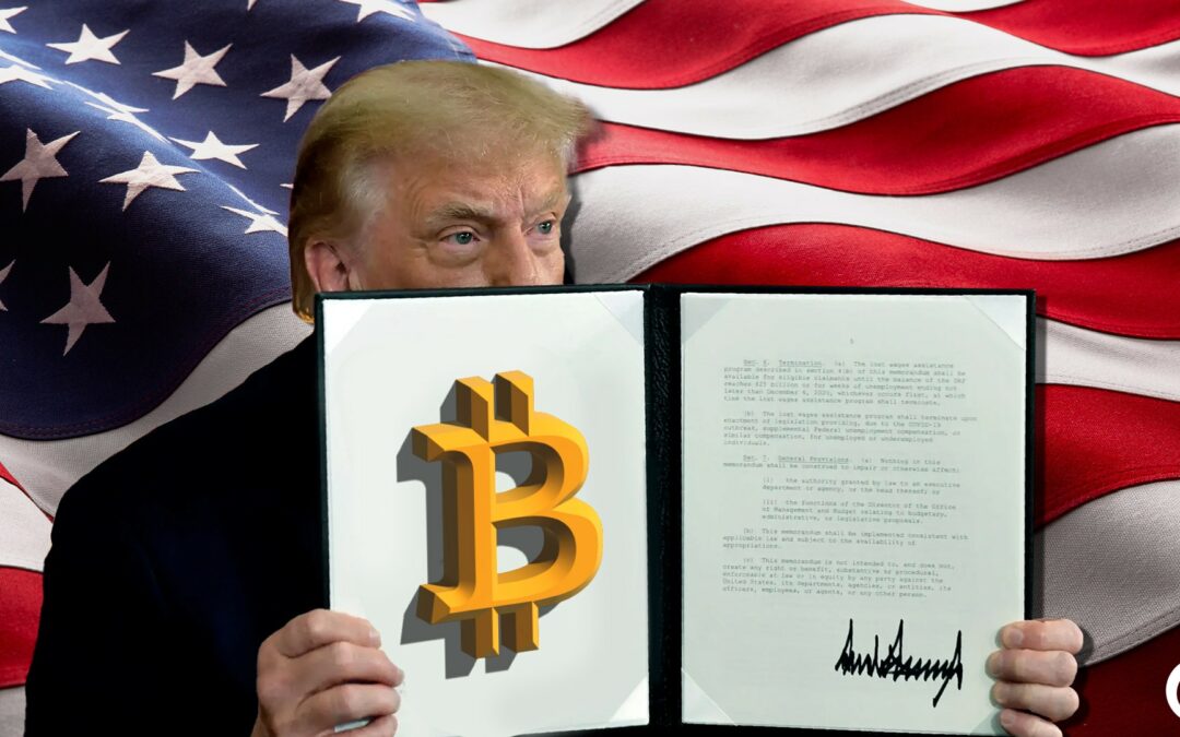 Crypto and trade war: the first 100 days of Donald Trump sift